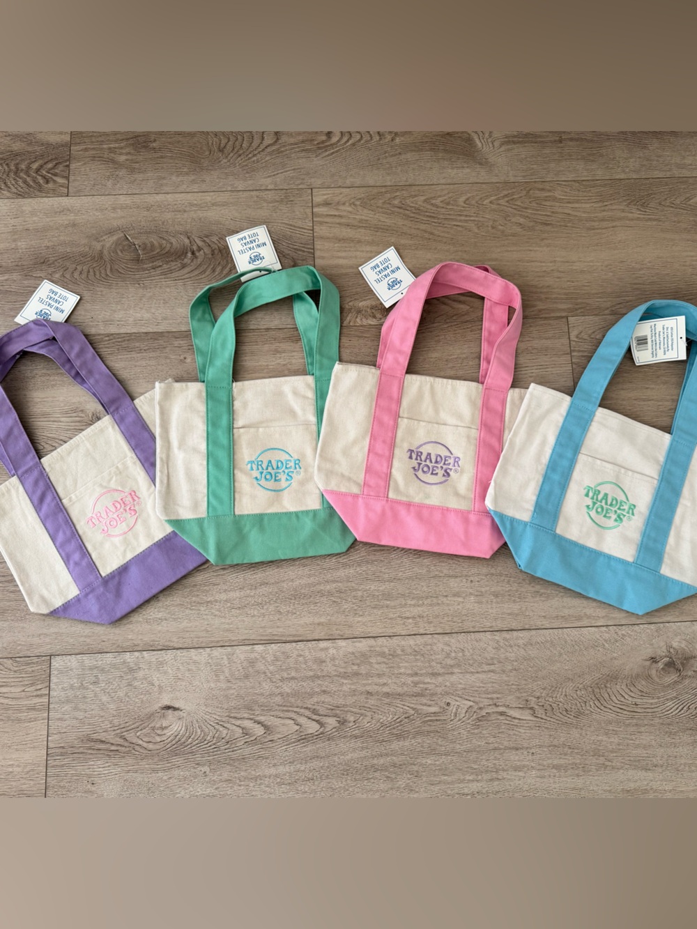 Trader Joe's Canvas Mini Tote Collection - Pastel Green